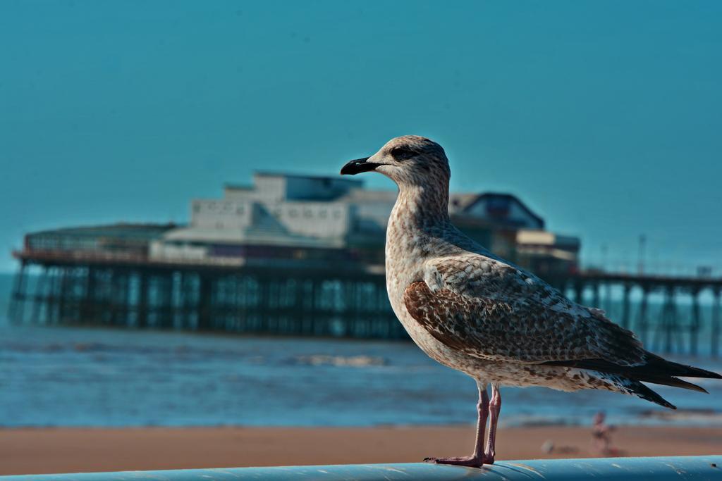 The Derby Hotel Blackpool Bagian luar foto